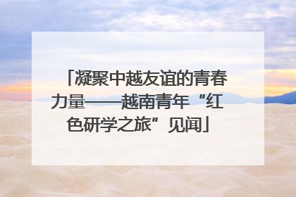 凝聚中越友谊的青春力量——越南青年“红色研学之旅”见闻